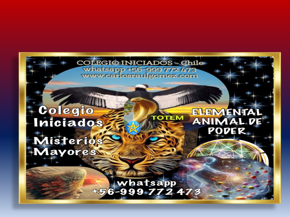 presprodukter2024_tripleAnimalPoder